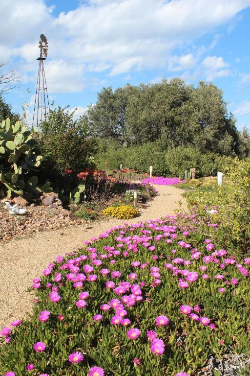 El Jardin De Los Suenos Rodalquilar Zewnętrze zdjęcie